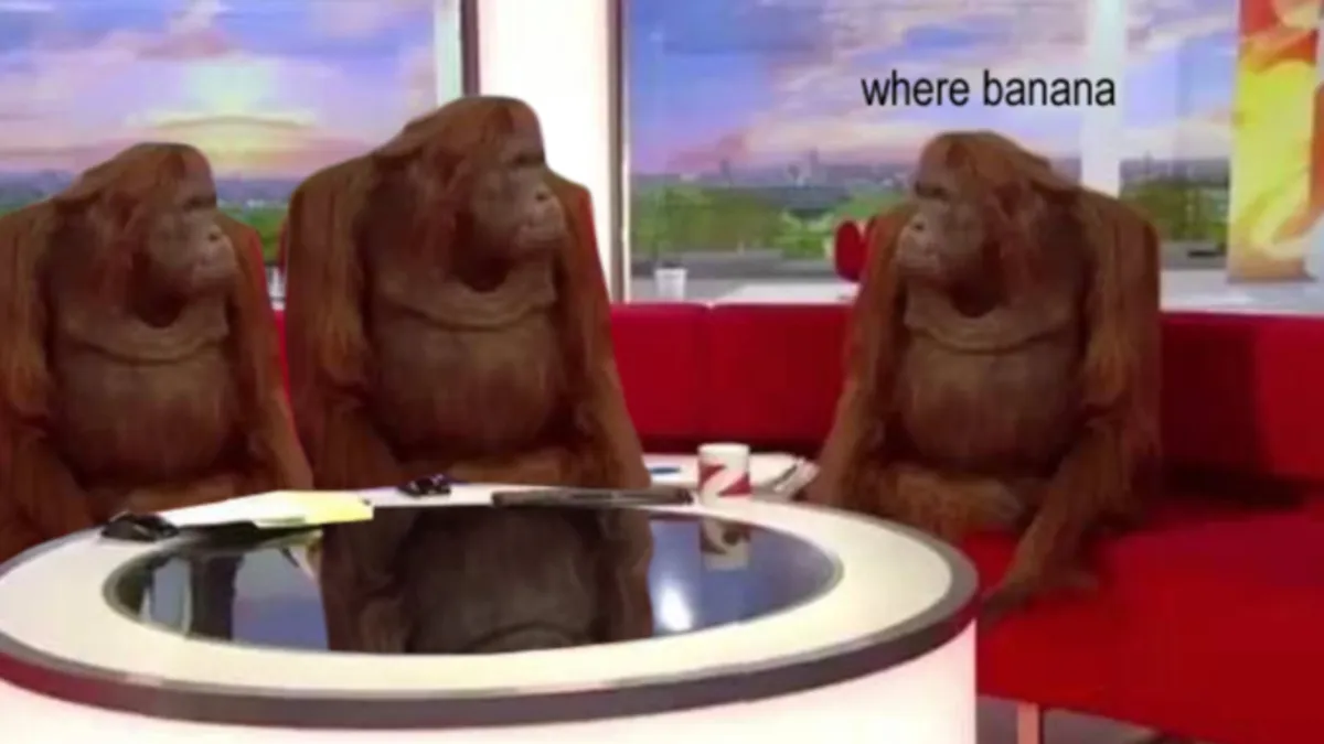 Monkeys on a couch 