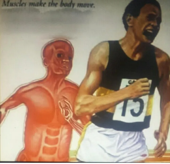 Muscle runner 