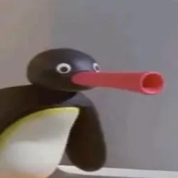 NOOT NOOT 
