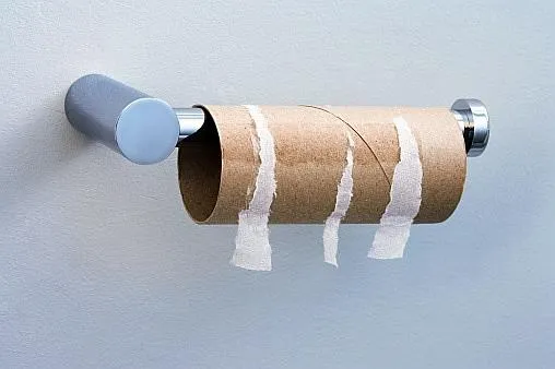 No More Toilet Paper 
