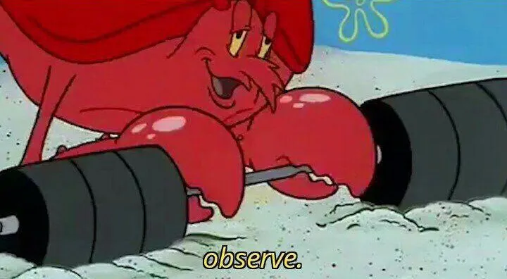 Observe 