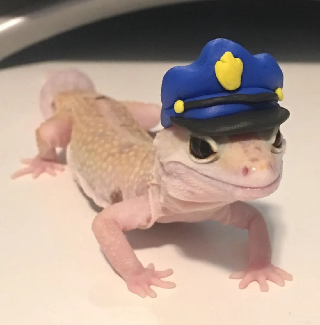 Officer Geck 