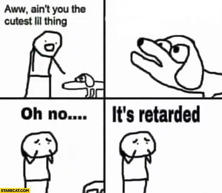 Oh no it's retarded! 