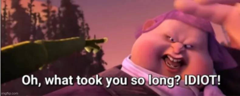 Oh, what took you so long? Idiot! 