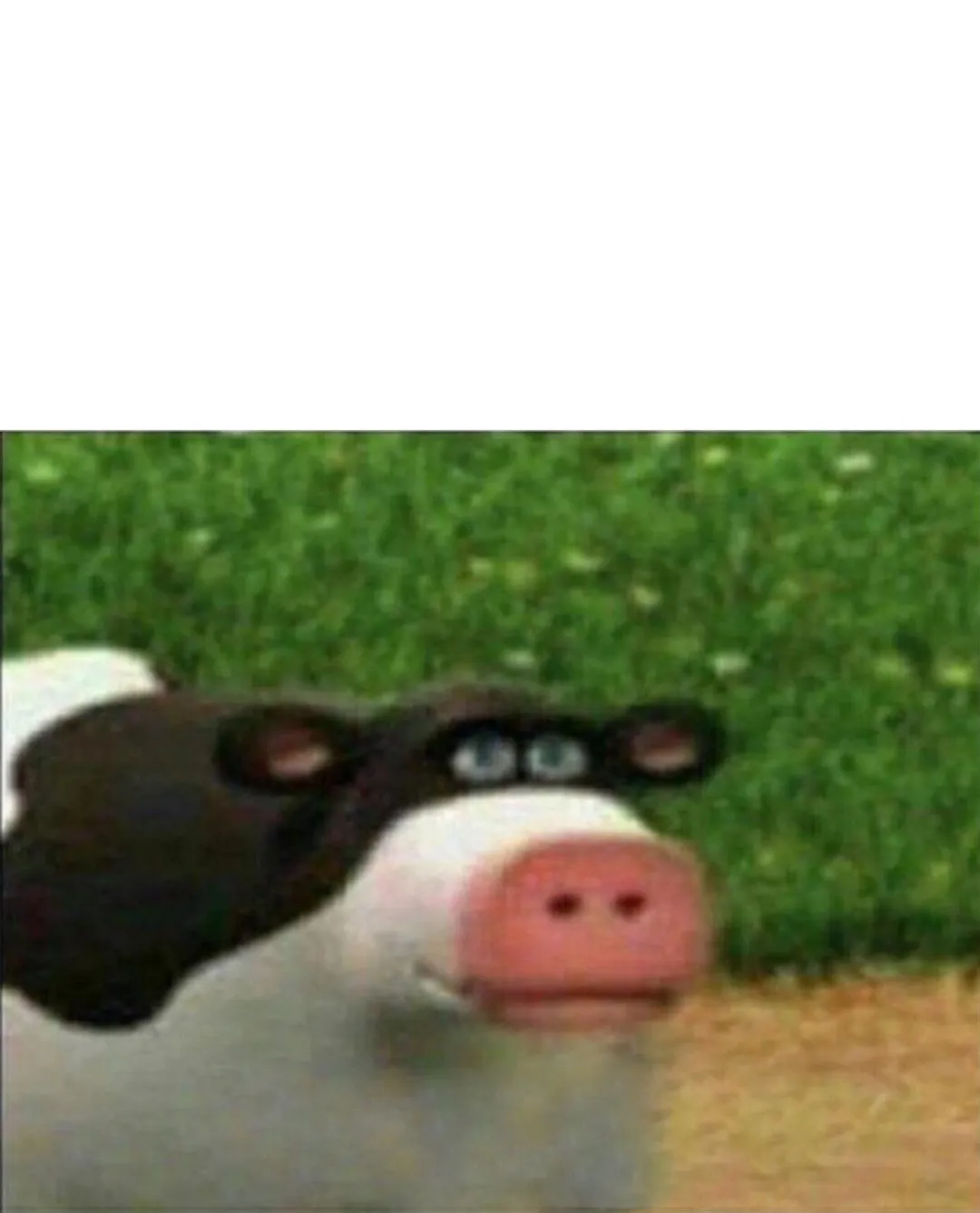 Perhaps cow 
