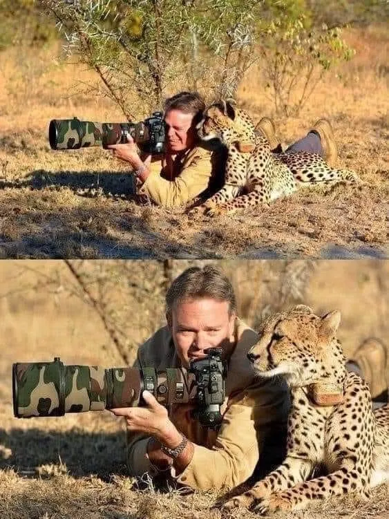 Photographer with cheetah 