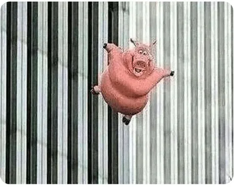 Pig jumping off 
