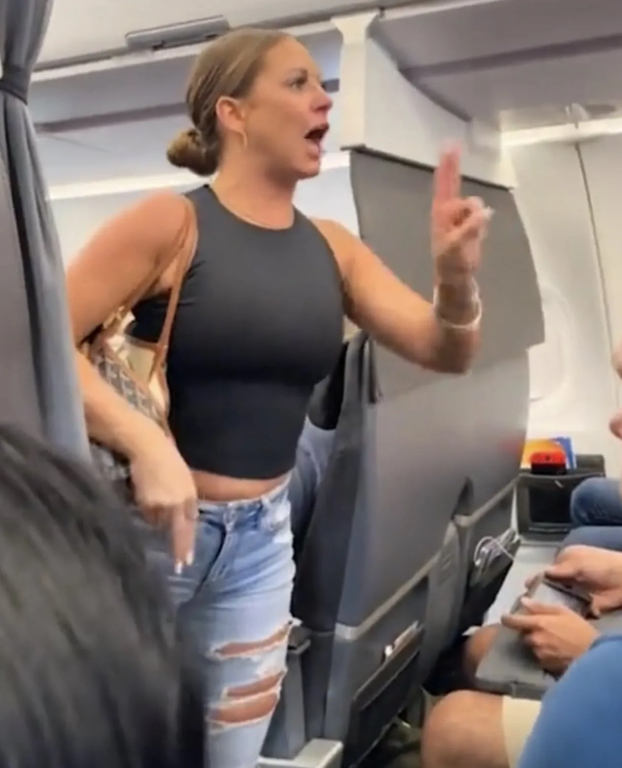 Plane Lady Not Real