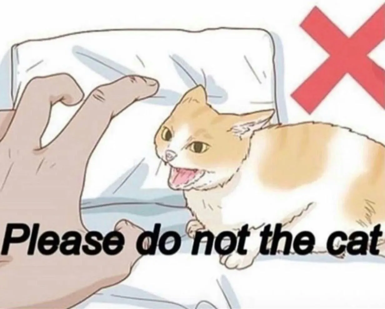 Please do not the cat 