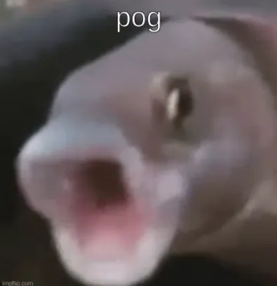 Poggers fish 