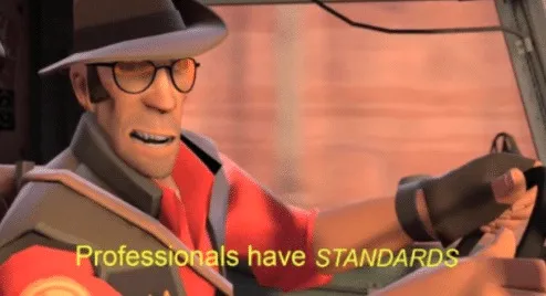 Professionals have standards 