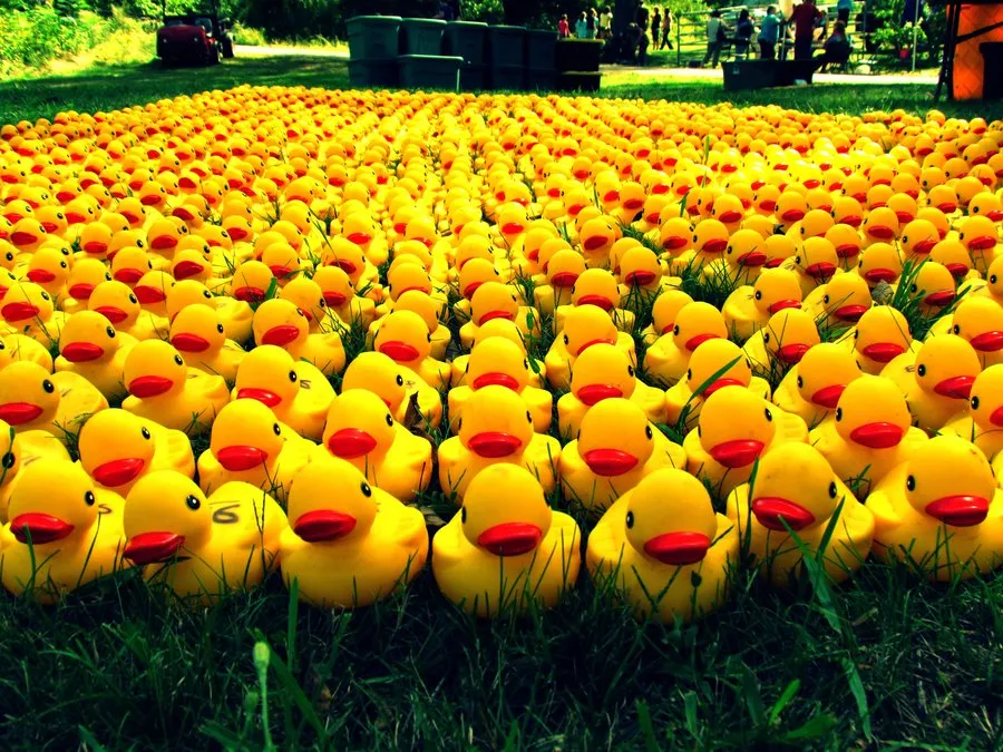 Rubber Ducky Army 