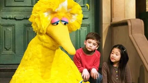 Sad Big Bird 