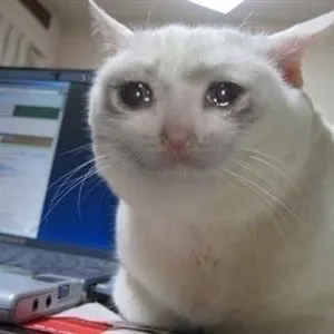 Sad cat tears 