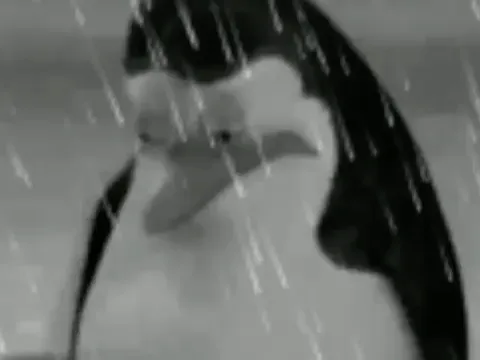 Sadge 