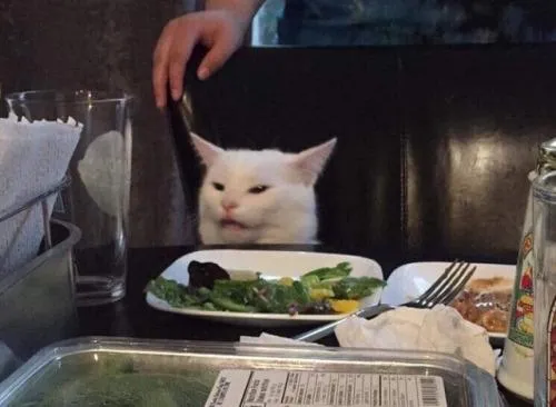 Salad cat 