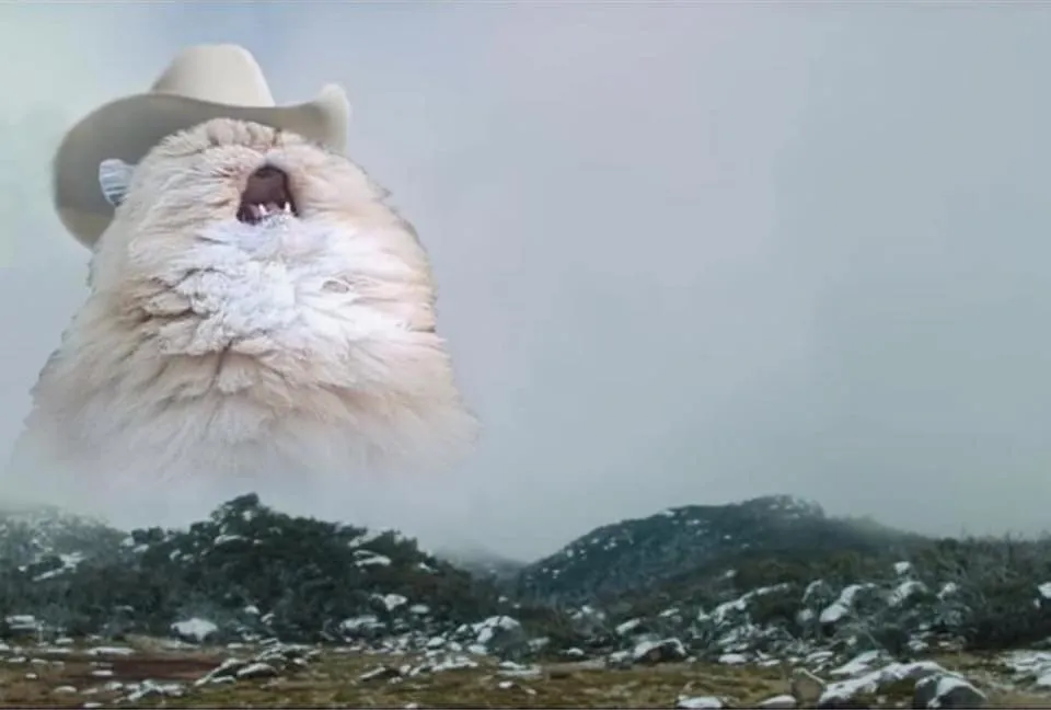 Screaming Cowboy Cat 