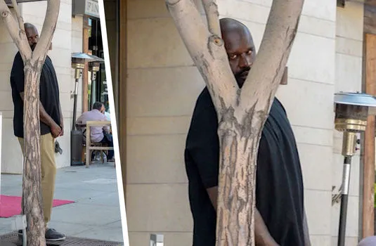 Shaq hiding 