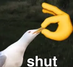 Shut Bird 