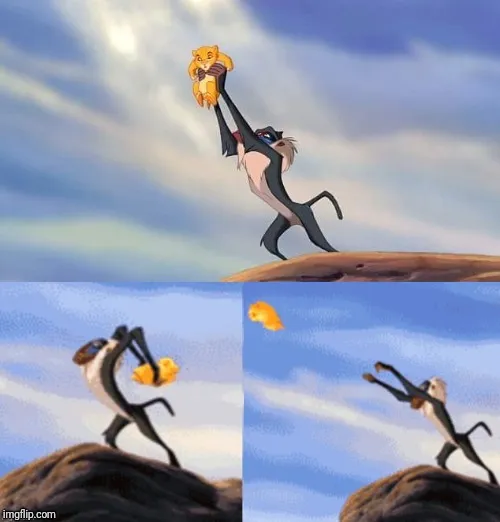 Simba Rafiki Lion King 