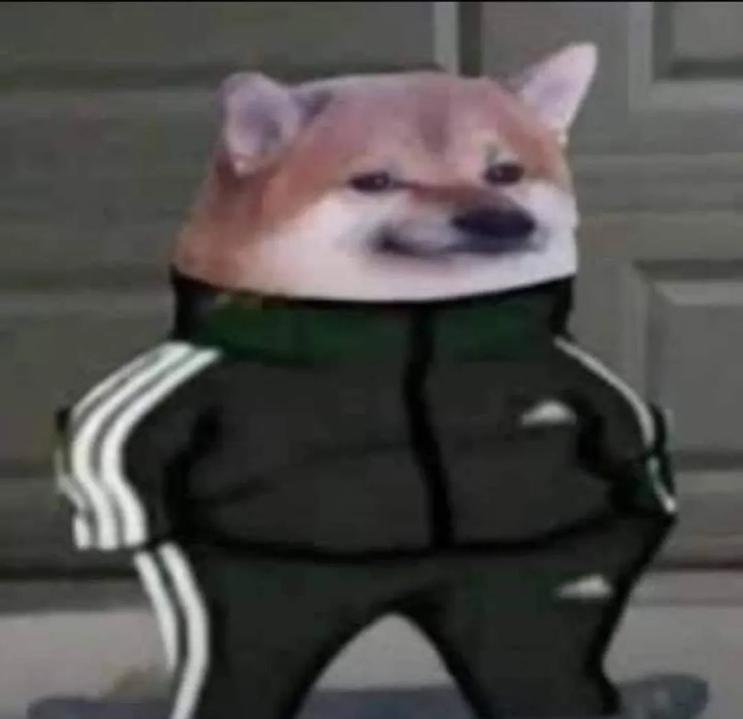 Slav doge 