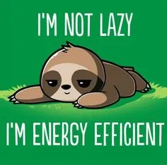 Sloth I’m not lazy I’m energy efficient 