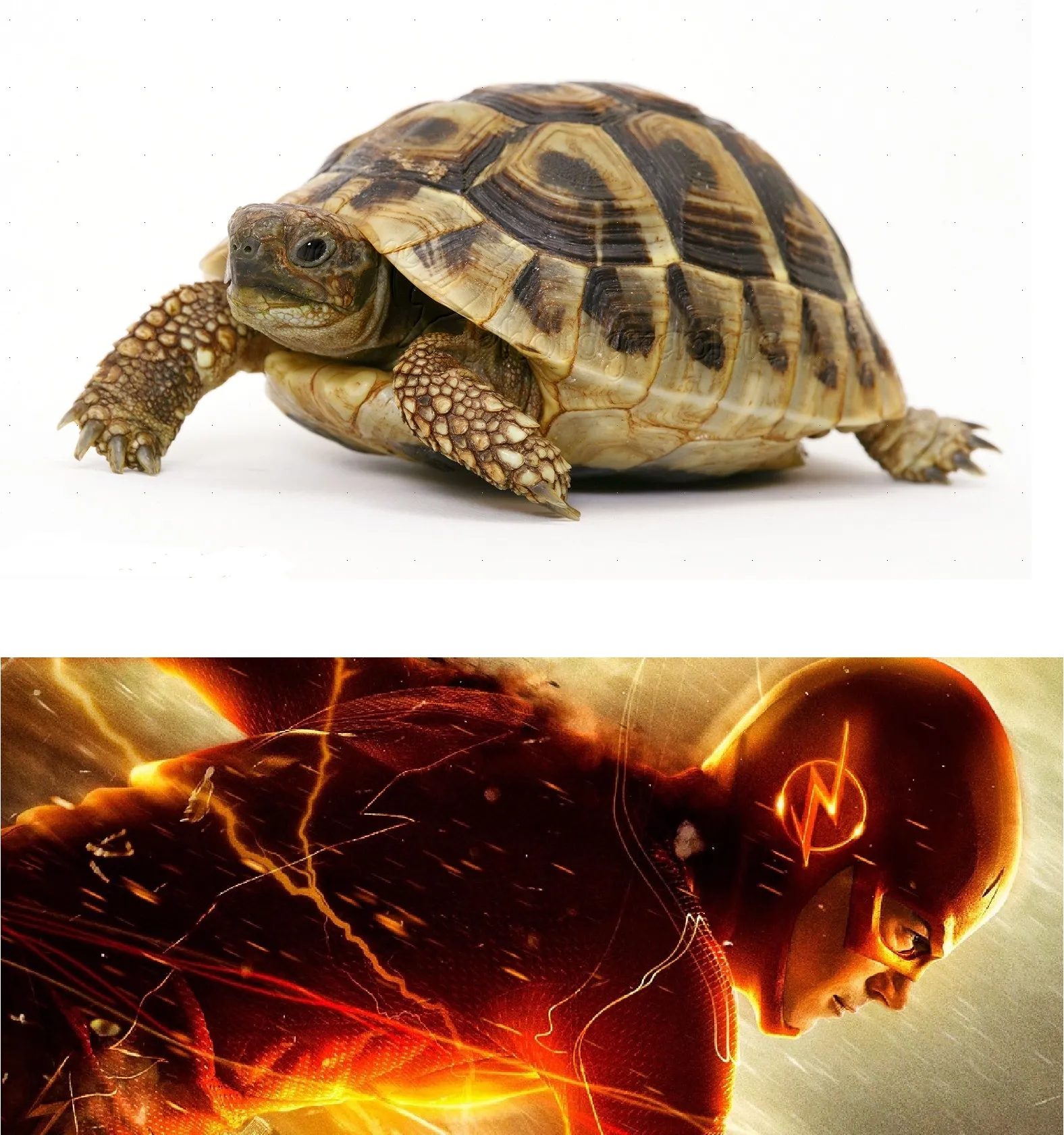 Slow vs Fast Meme 