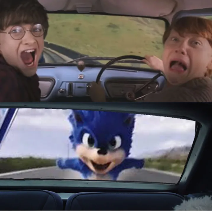 Sonic Chasing Harry and Ron 
