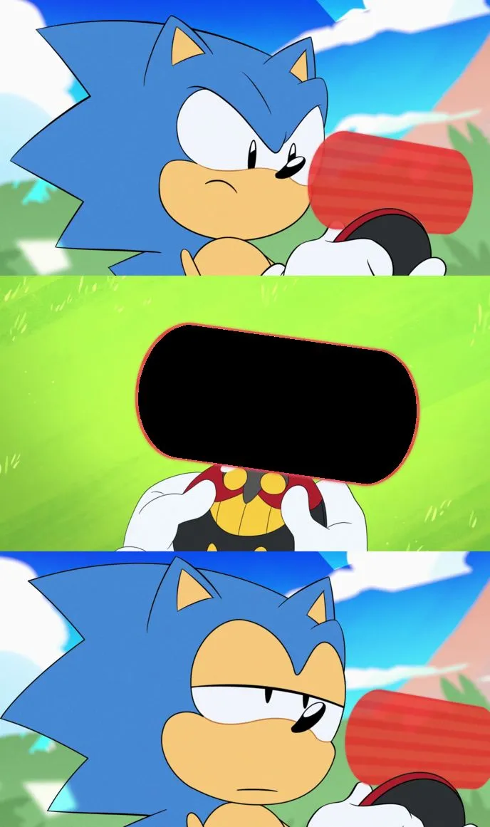 Sonic Dumb Message Meme 