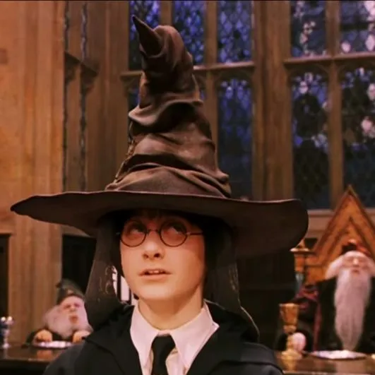 Sorting hat 