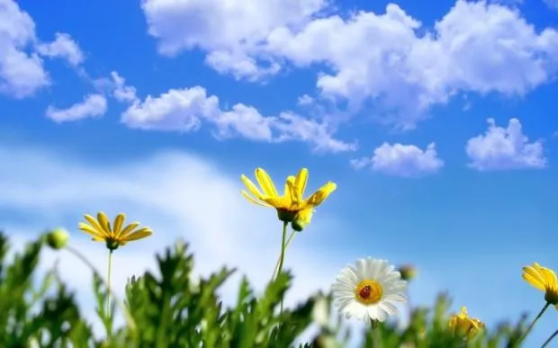 Spring 