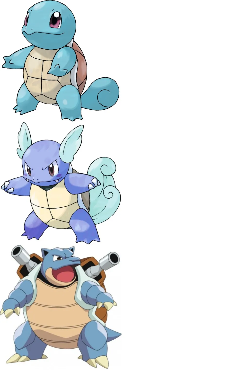 Squirtle Wartotle Blastoise evolution (Pokemon) 
