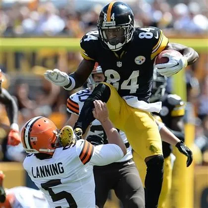 Steelers Karate 