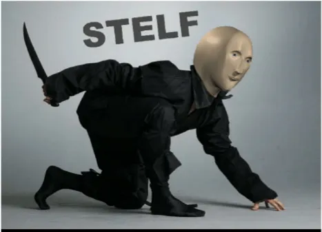 Stelf 