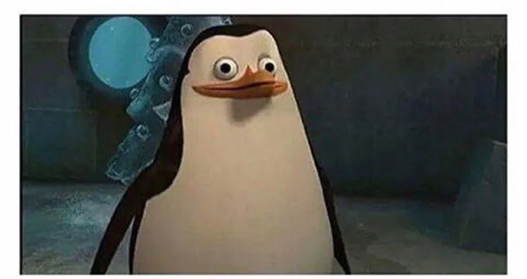 Stupid pinguin 