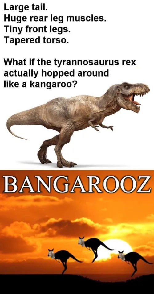 T rex Bangarooz 