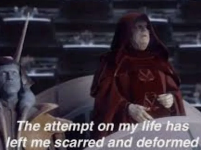 The attempt on my life has left me scarred and deformed 