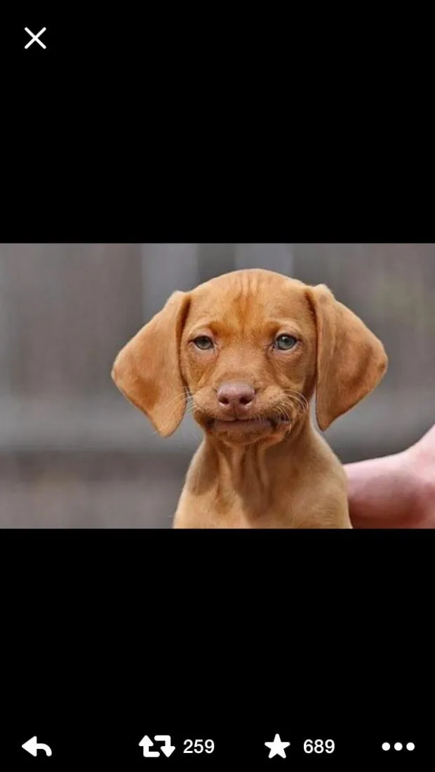 The face I make when C doesn't reply 