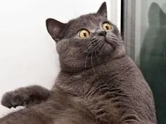 The moment when you realise.... Exams are in a month 