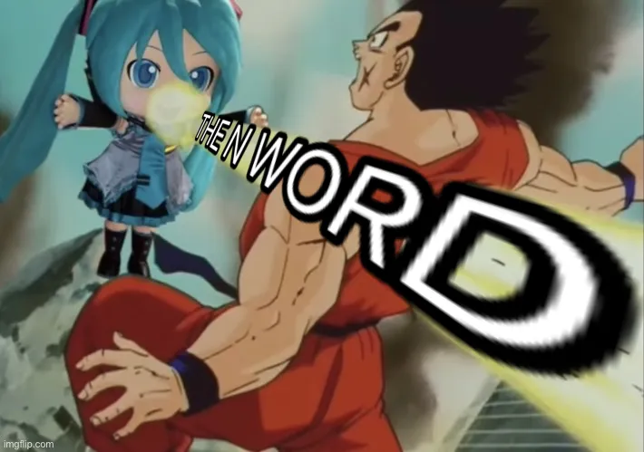The n word 