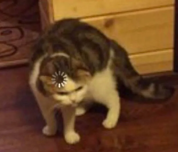 Thinking Cat 