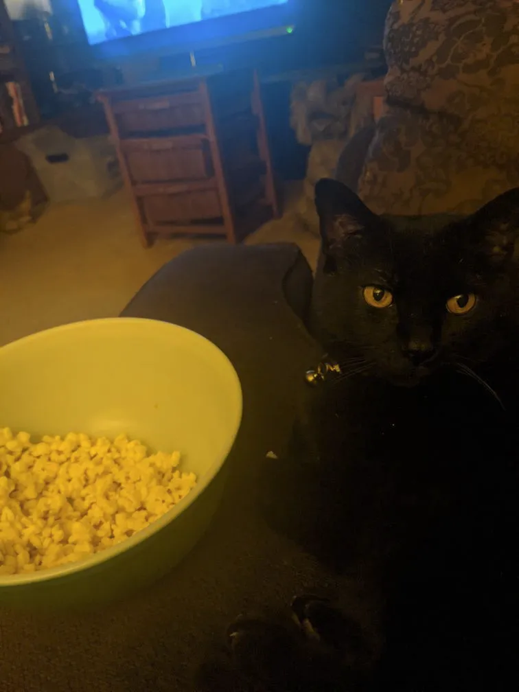 This Movie Sucks, Let's Watch 