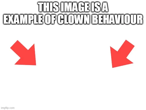 This image is a example of clown behaviour