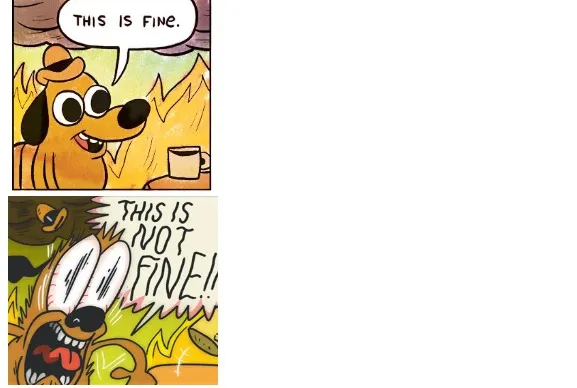 This is Fine, This is Not Fine 