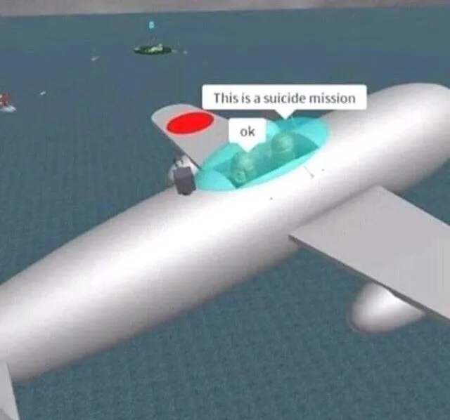 This is a suicide mission ok 
