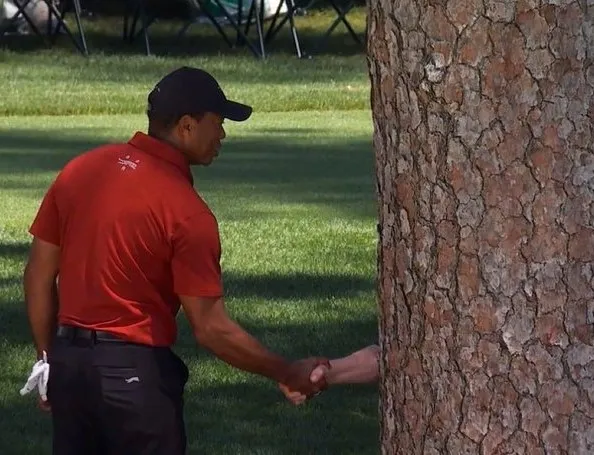 Tiger Woods Tree Shake