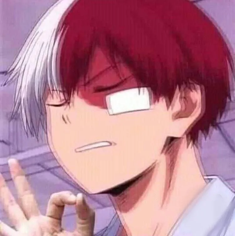 Todoroki 