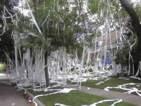 Toilet papered house 