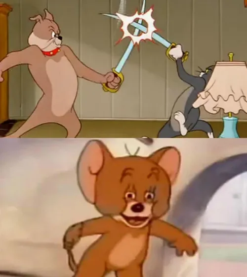 Tom and Jerry cat Dog Fight 