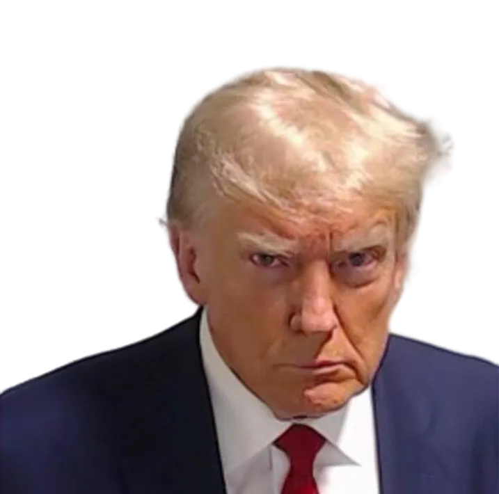 Trump mugshot